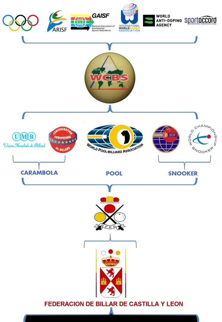 Billiard Federation of Castilla y León-01